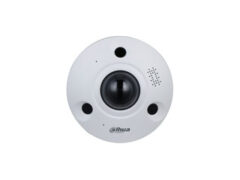 DH-IPC-EBW8842P-AS
