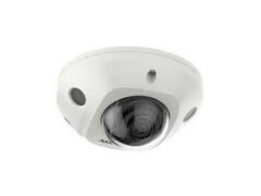 DS-2CD2543G2-IS(2.8mm)